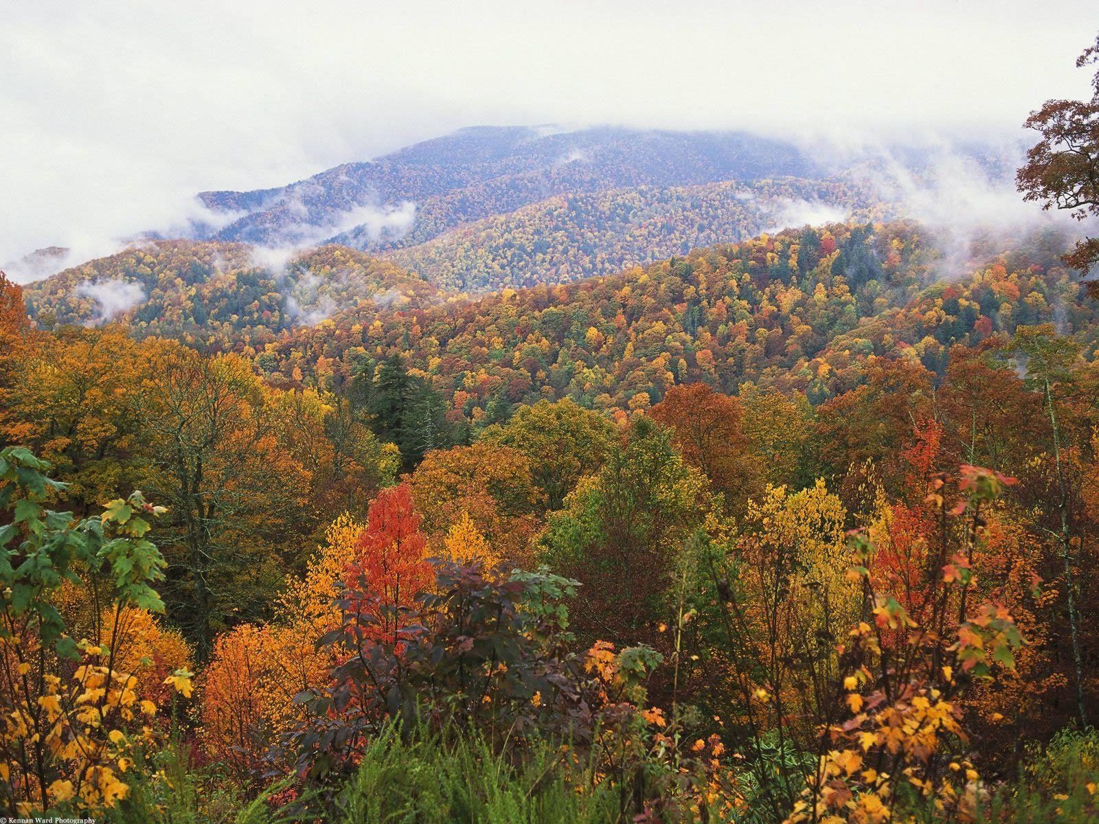 Autumn NC Mountains Wallpapers Top Free Autumn NC Mountains