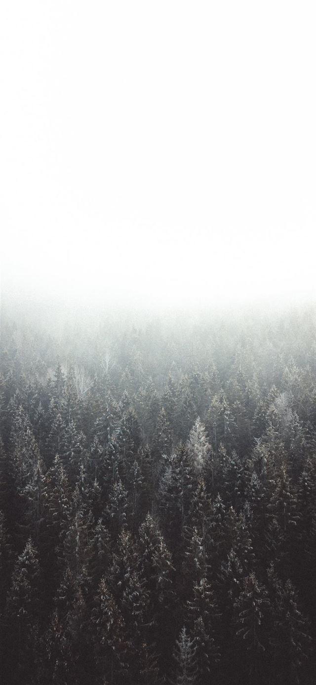Gray and White iPhone Wallpapers - Top Free Gray and White iPhone  Backgrounds - WallpaperAccess