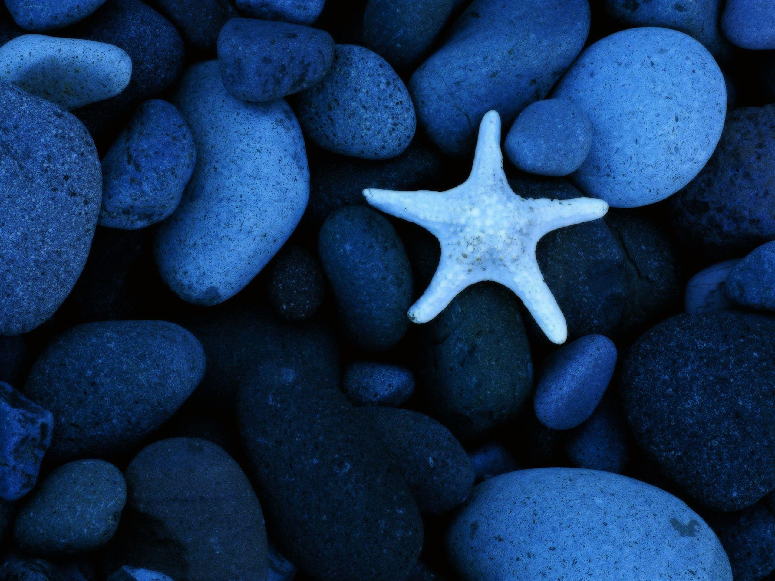2560x1920 Blue Stuff Wallpaper