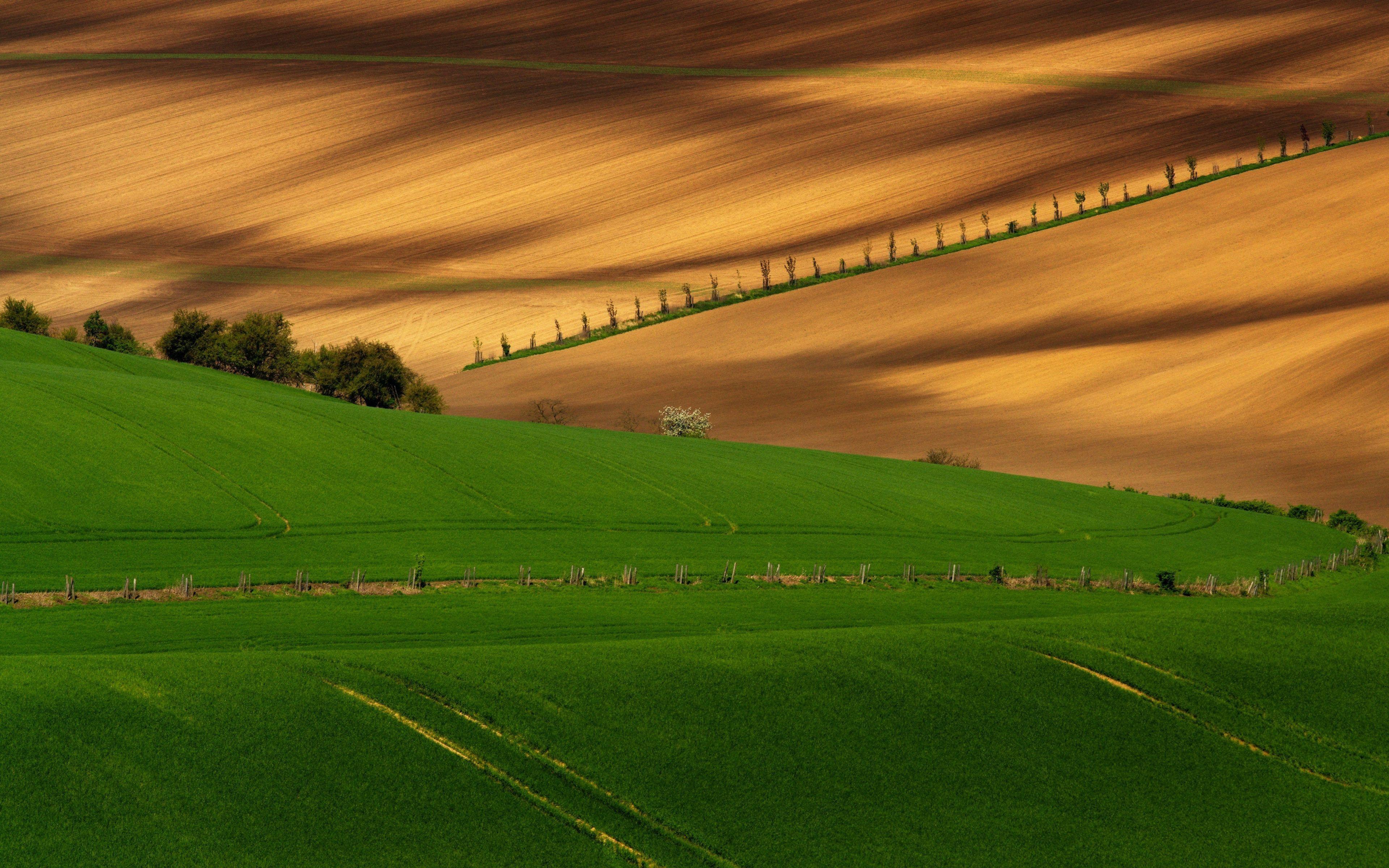 полевая дорога и проселочная дорога. поле вечер закат. поле весной. земельные ресурсы. скошенное поле люцерны даль.