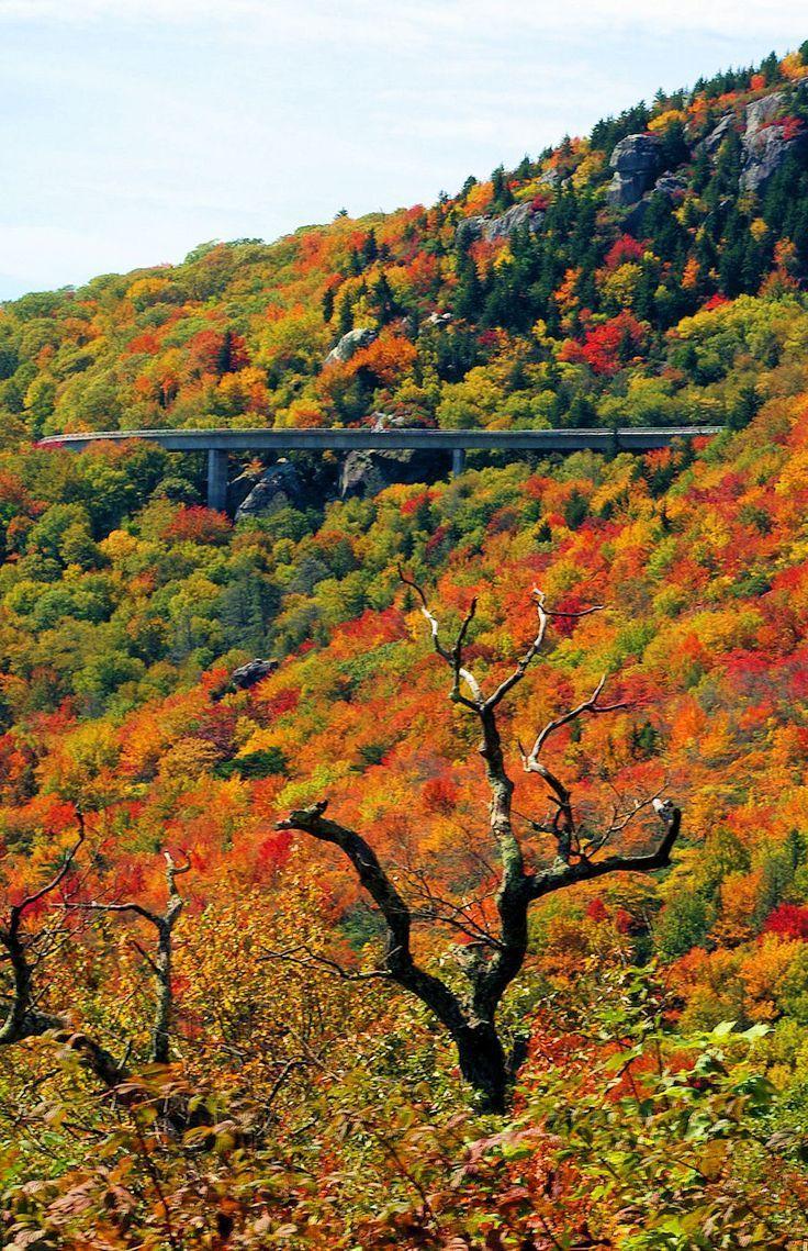 736x1139 Blue Ridge Parkway Linn Cove Viaduct with fall color in the North Carolina mountains. North carolina mountains, Blue ridge parkway, Scenery