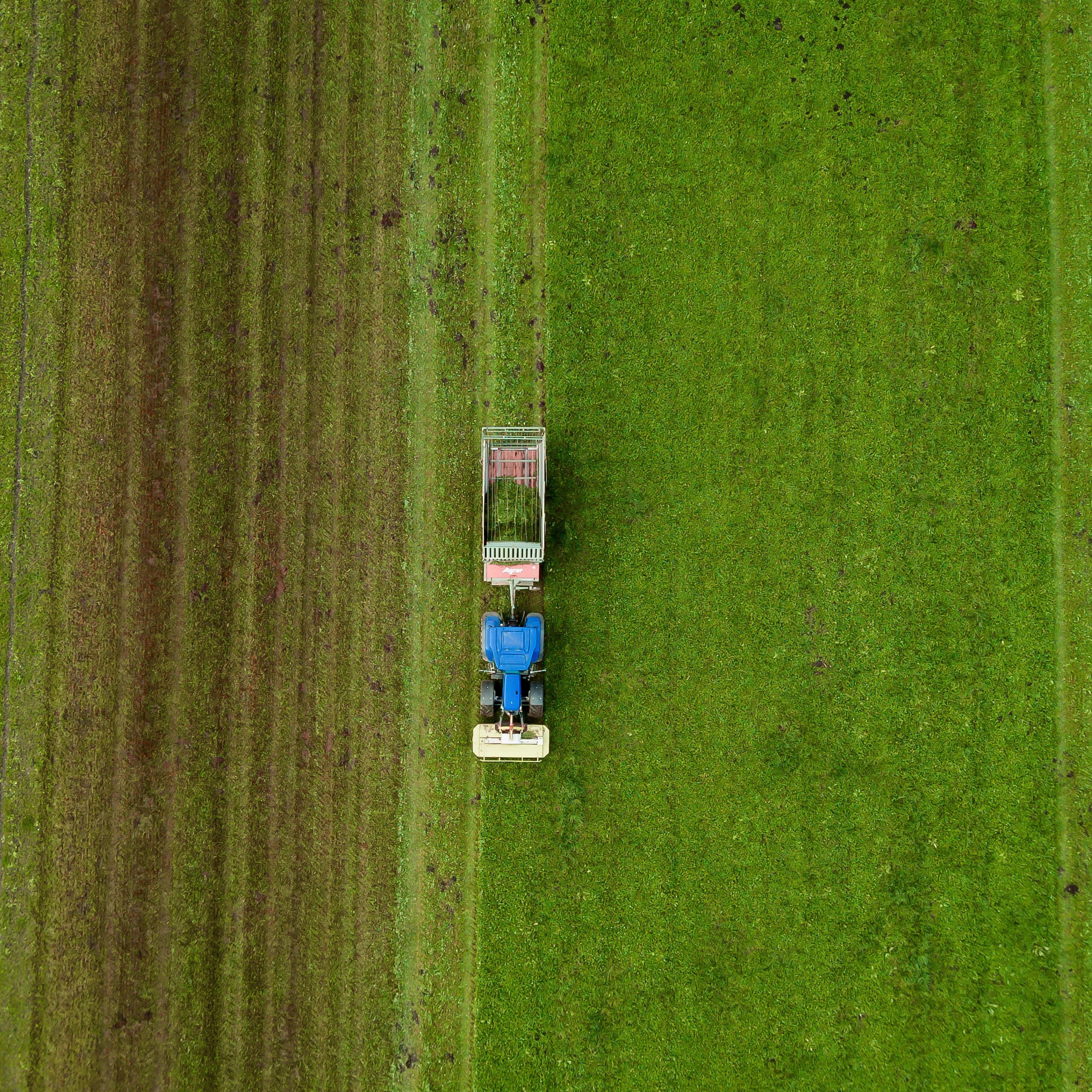 3840x3840 Wallpaper / grass aerial view farm and farmer HD 4k wallpaper