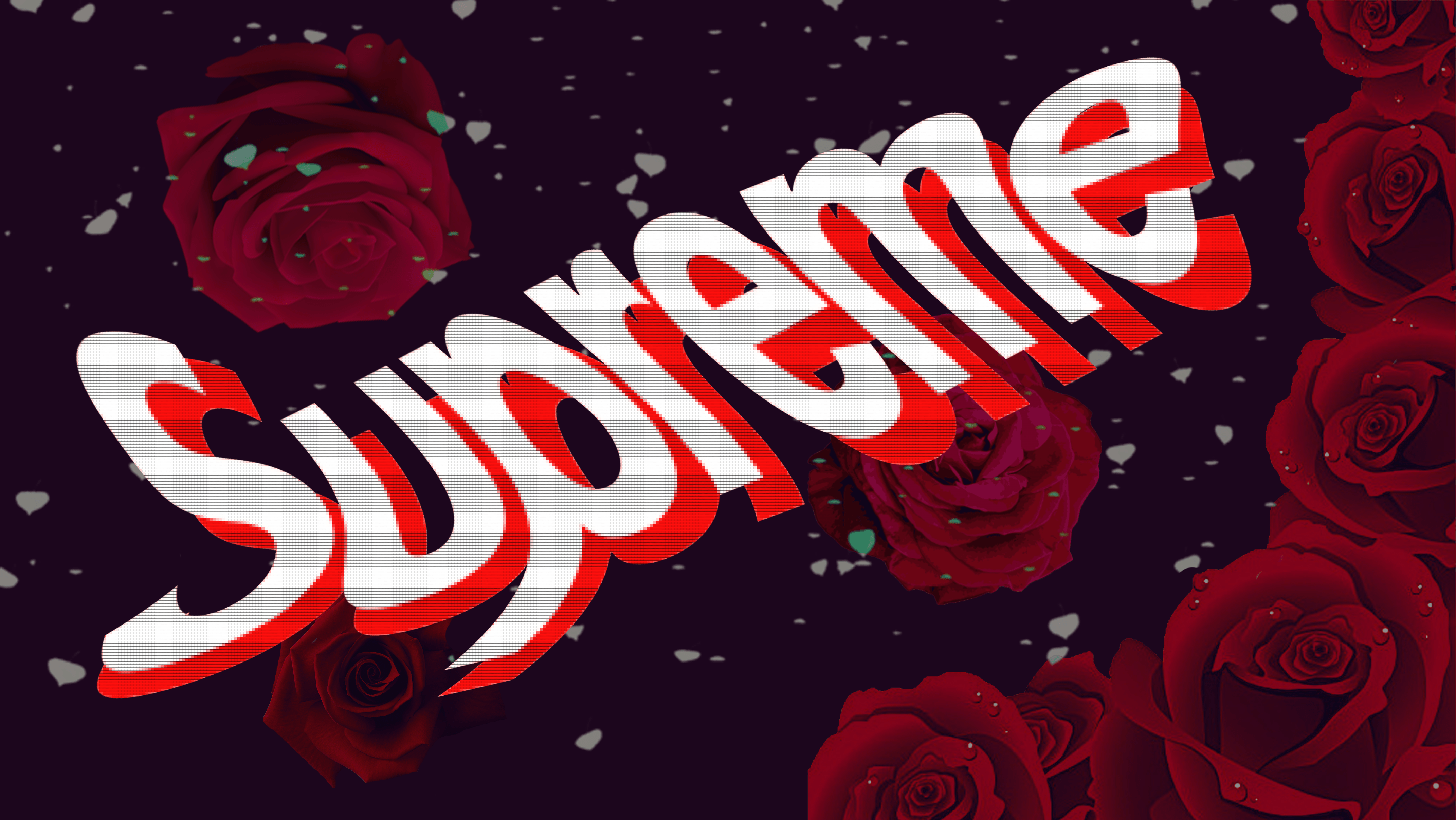 4288x2416 Suppreme Roses Wallpaper
