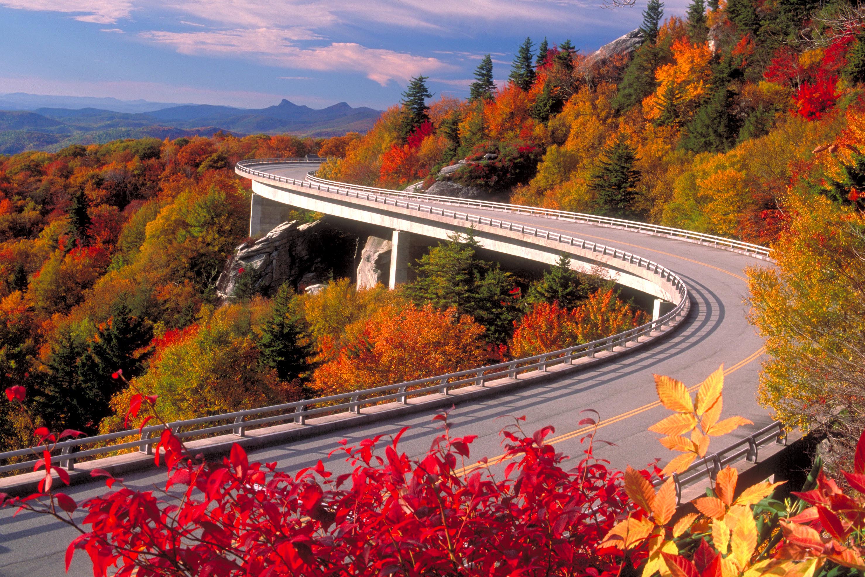 2956x1972 Autumn Wallpaperx1972