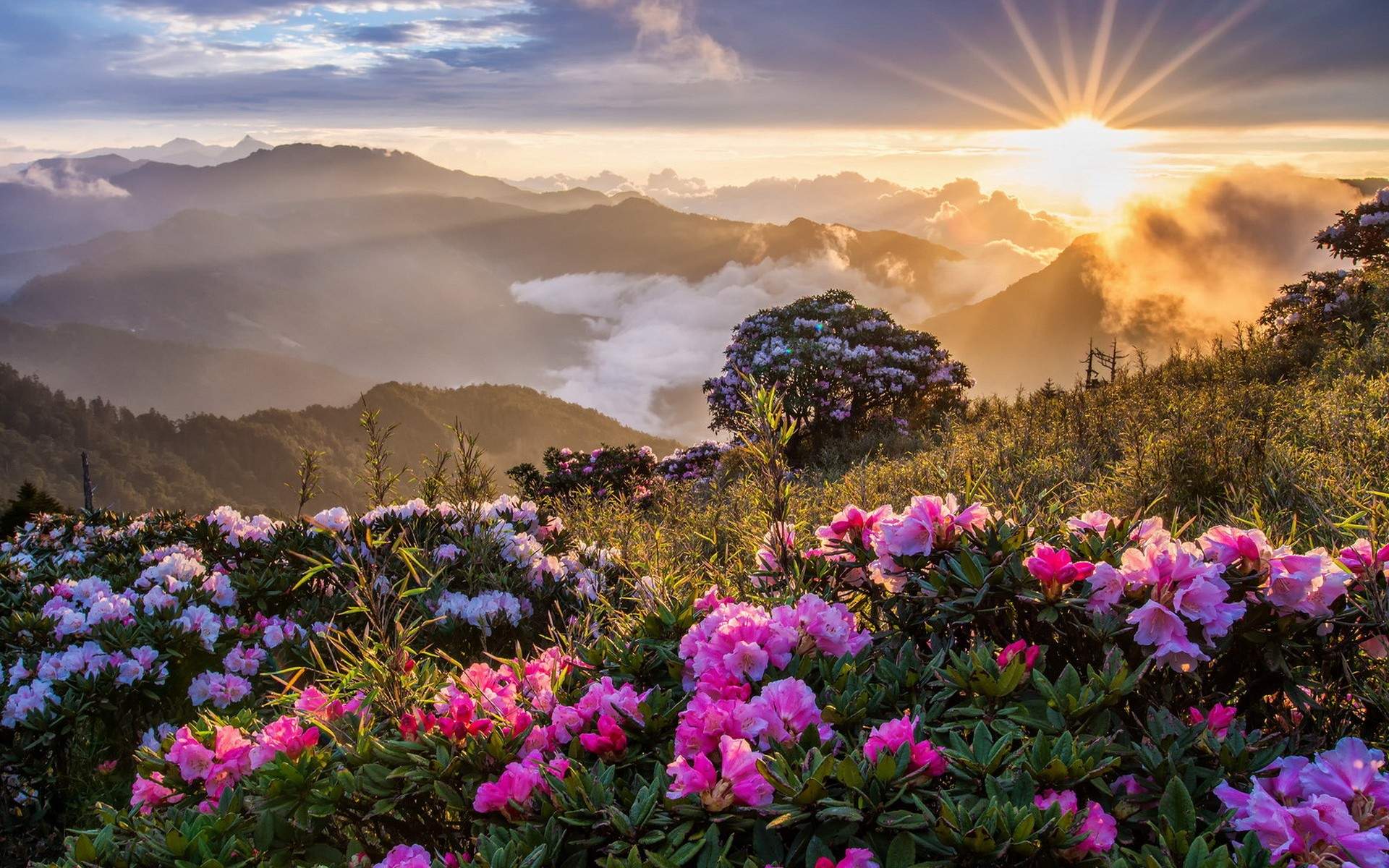 1920x1200 Mountain Sunrise Desktop Wallpaper, HD Mountain Sunrise Desktop Background