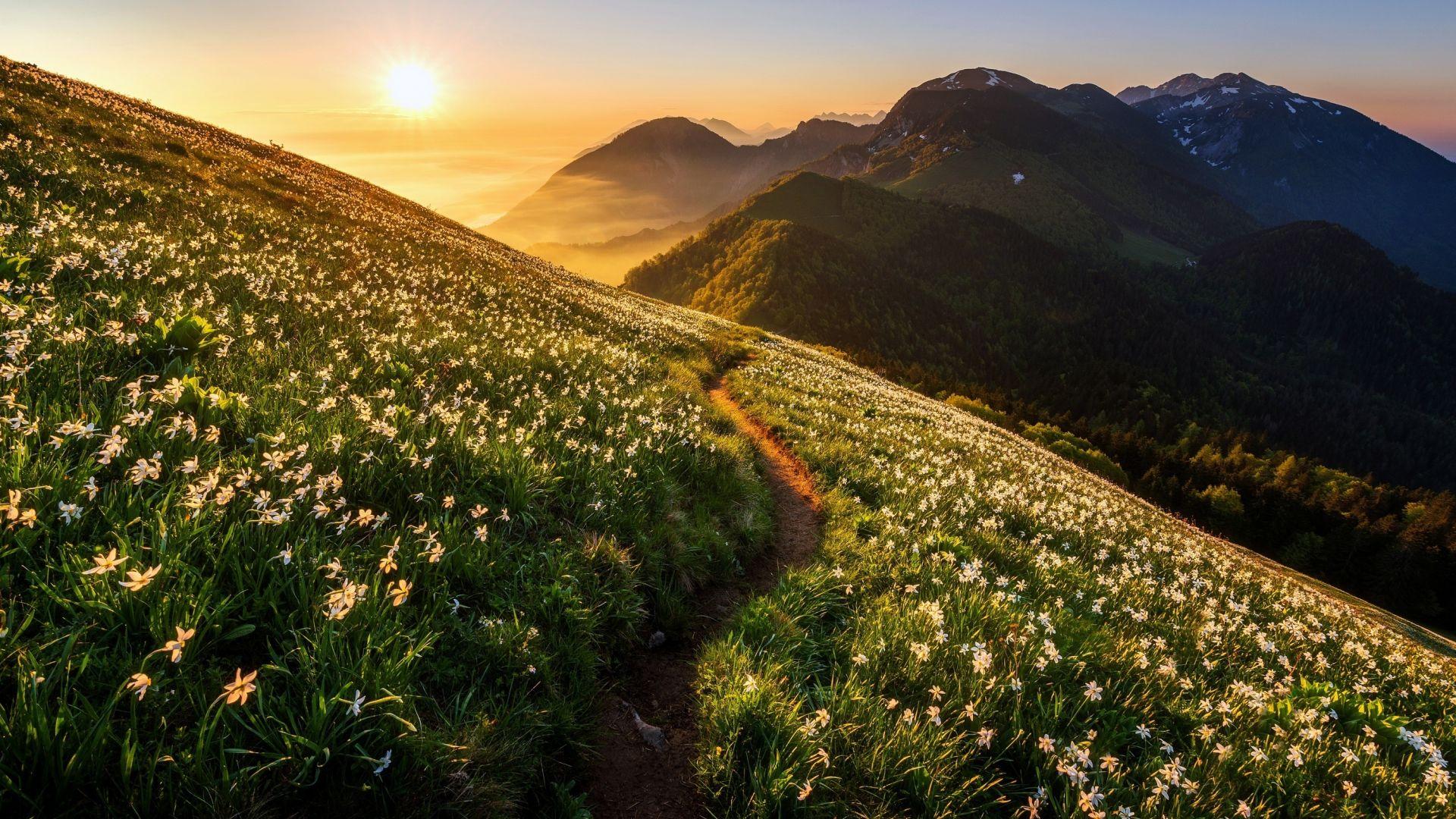 1920x1080 Desktop wallpaper landscape, road, mountains, sunrise, HD image, picture, background, fb4f5d