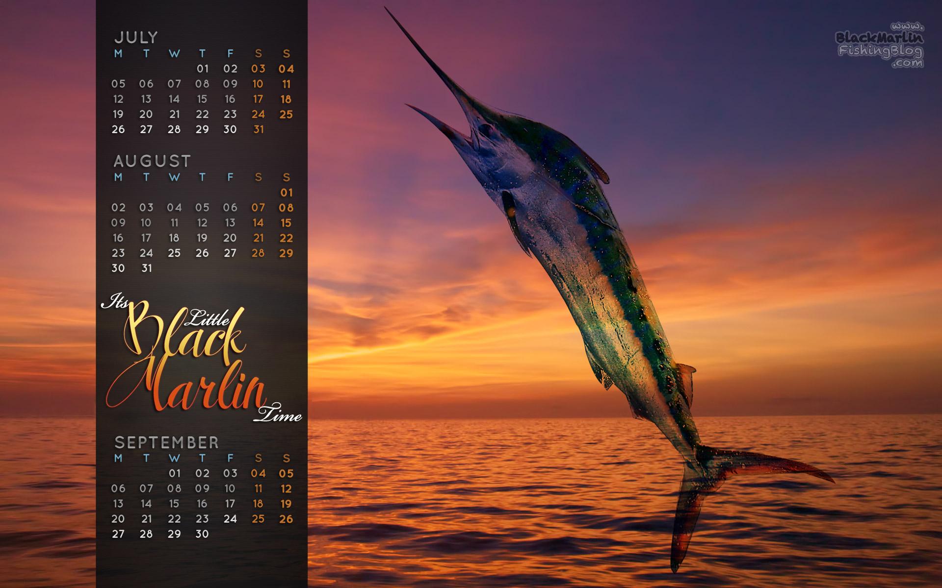 Blue Marlin Wallpapers - Top Free Blue Marlin Backgrounds - WallpaperAccess
