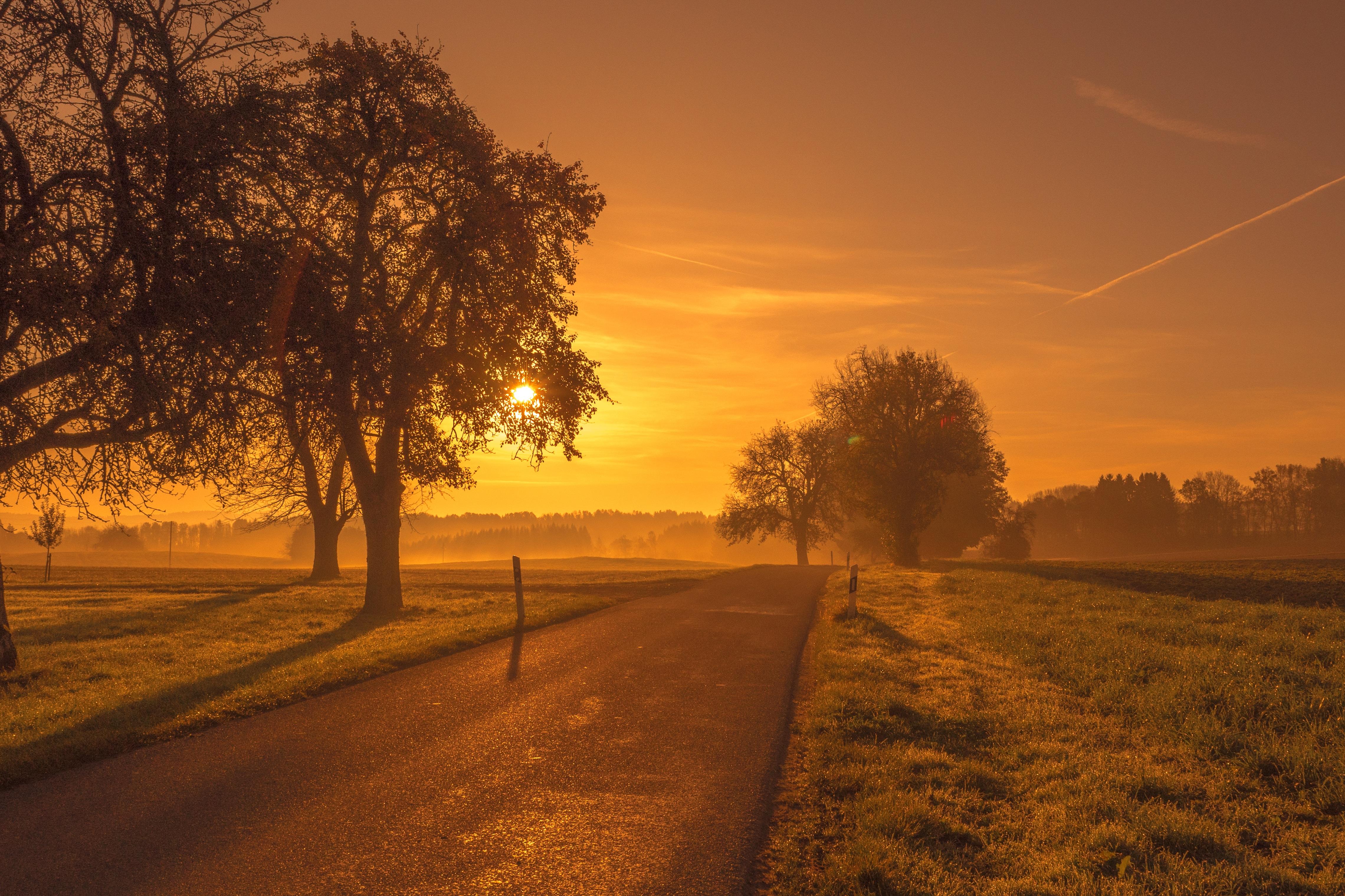4560x3040 Scenic Road Sunrise Sunset Trees Meadow Laptop HD HD 4k Wallpaper, Image, Background, Photo and Picture