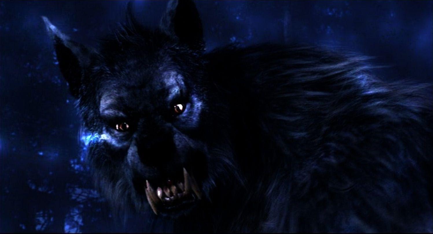 1497x810 Werewolf Wallpaper