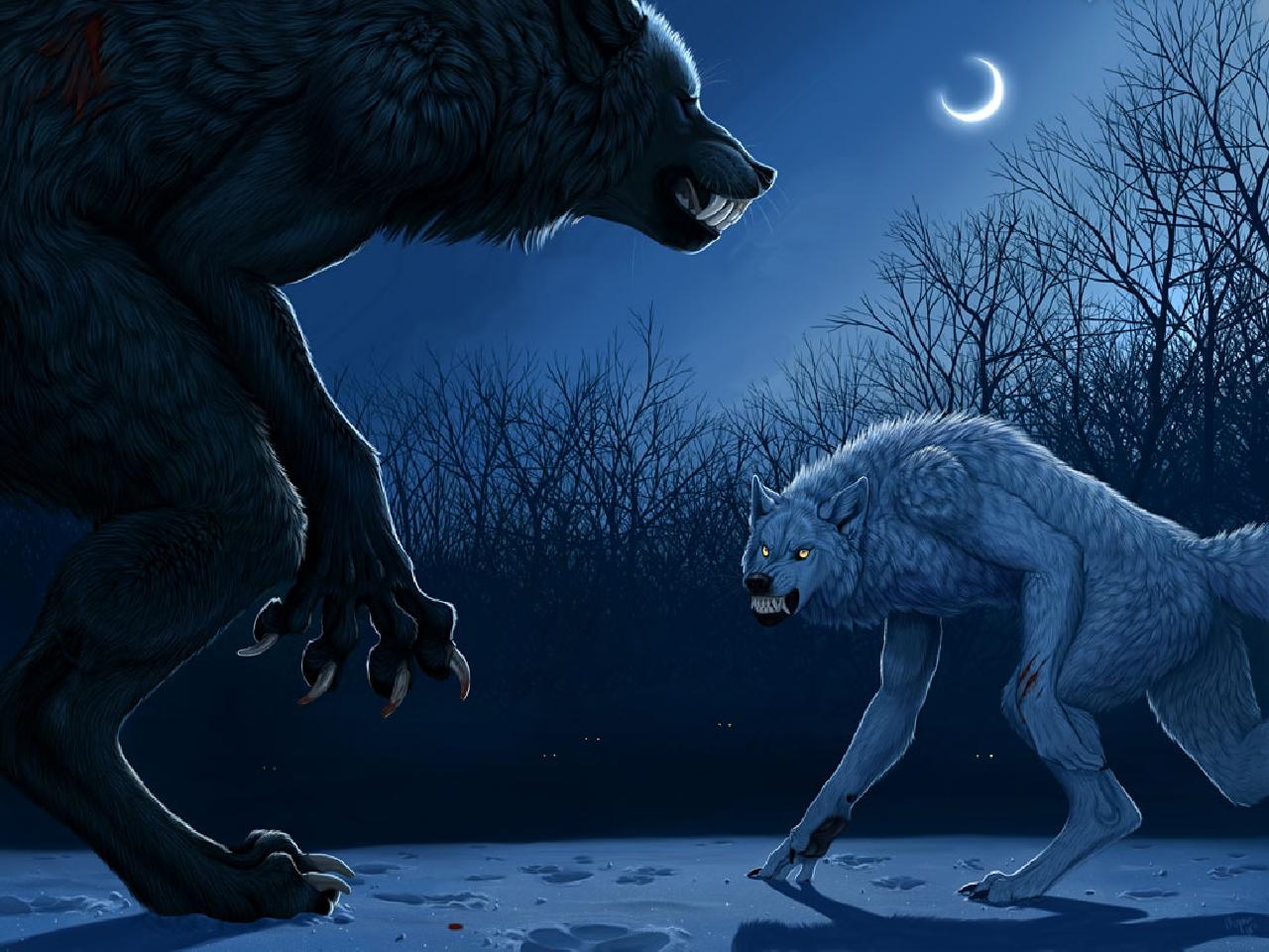 1280x960 Free download Werewolf Computer Wallpaper Desktop Background [1280x960] for your Desktop, Mobile & Tablet. Explore Werewolves Wallpaper. Classic Werewolf Wallpaper, Ancient Werewolf Wallpaper, 1920 x 1080 Werewolf Wallpaper