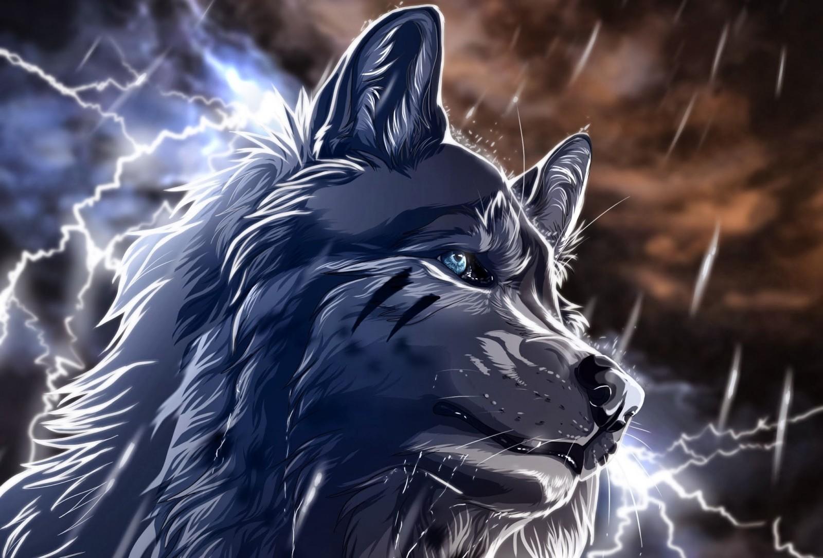 1600x1085 animals, fantasy art, wolf, mythology, Werewolf, darkness, screenshot, computer wallpaper, fictional character High quality walls