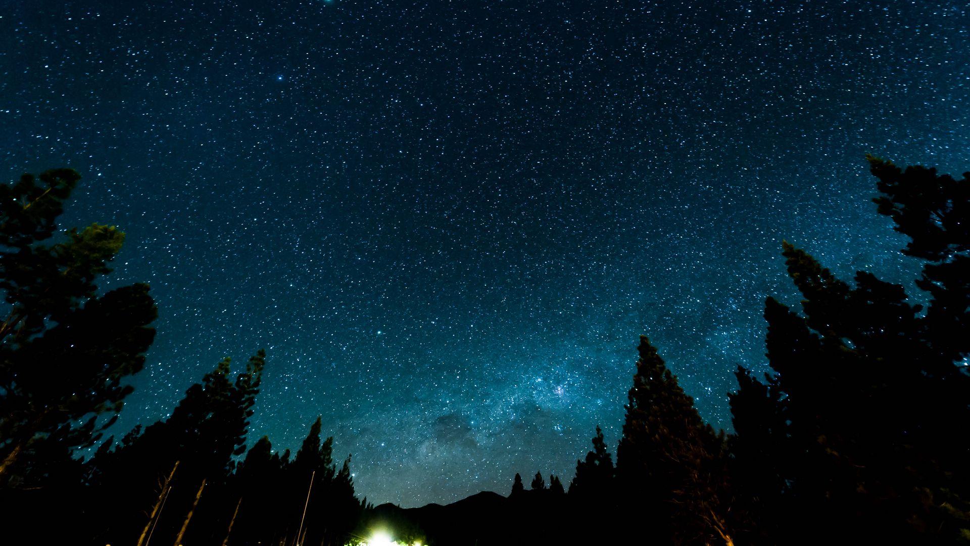 1920x1080 Download wallpaper 1920x1080 starry sky, night, stars, forest, nebula full hd, hdtv, fhd, 1080p HD background