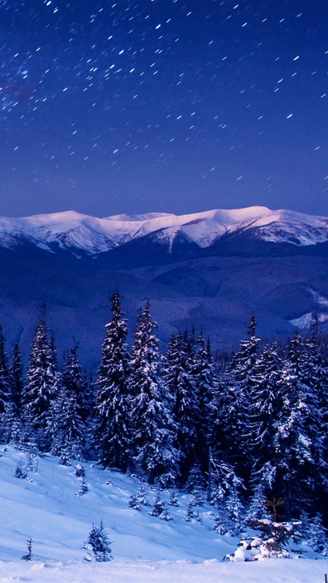 1080x1920 Star Forest Night Home Mountains Trees iPhone 4s Wallpaper Free Download