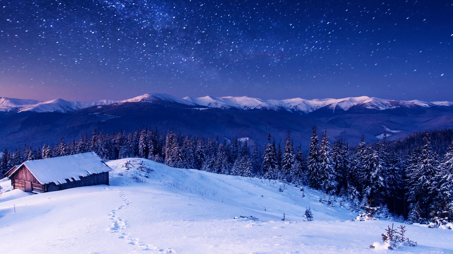 1920x1080 Star Forest Nature, HD Nature, 4k Wallpaper, Image, Background, Photo and Picture