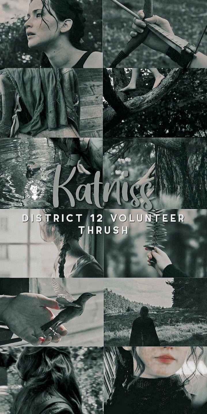 720x1438 Katniss Everdeen Aesthetic. Hunger games, Hunger games wallpaper, Hunger games fandom