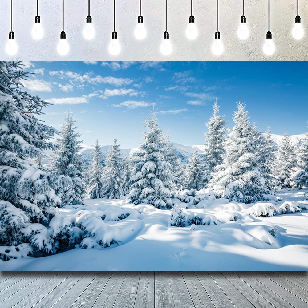 1000x1000 CSFOTO Polyester 7x5ft Winter Backdrop Winter Forest Ice and Snow World Theme Baby Shower Banner Snow Scene Background for Photography Kids Adults Photo Wallpaper