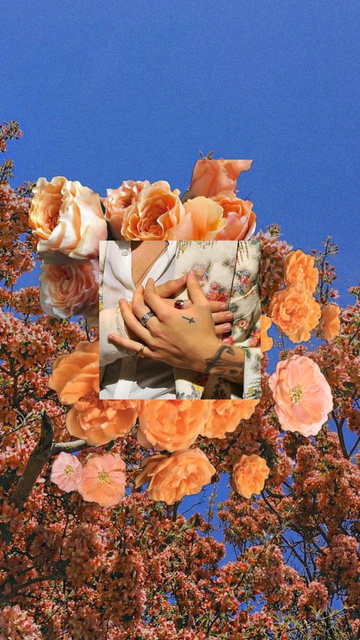 720x1280 Another harry styles wallpaper but peachy