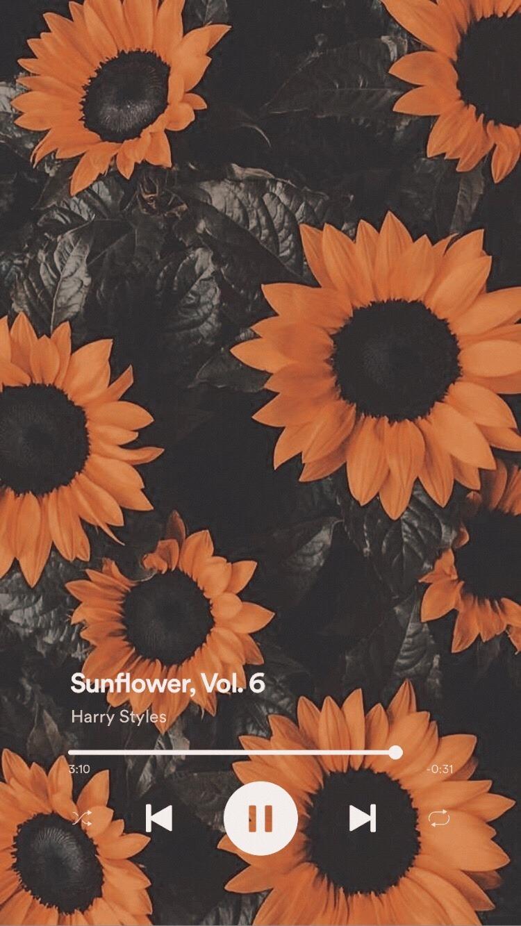 750x1333 sunflowers lockscreens