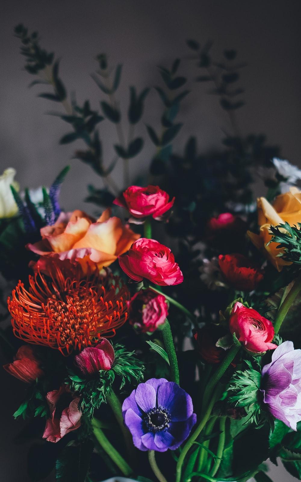 1000x1600 harry styles best free style, flower, floral and petal photo