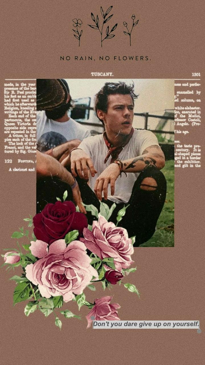 720x1280 Aesthetic Harry Styles Wallpaper