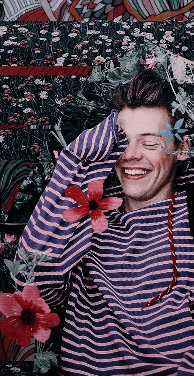 662x1280 Harry Styles Wallpaper