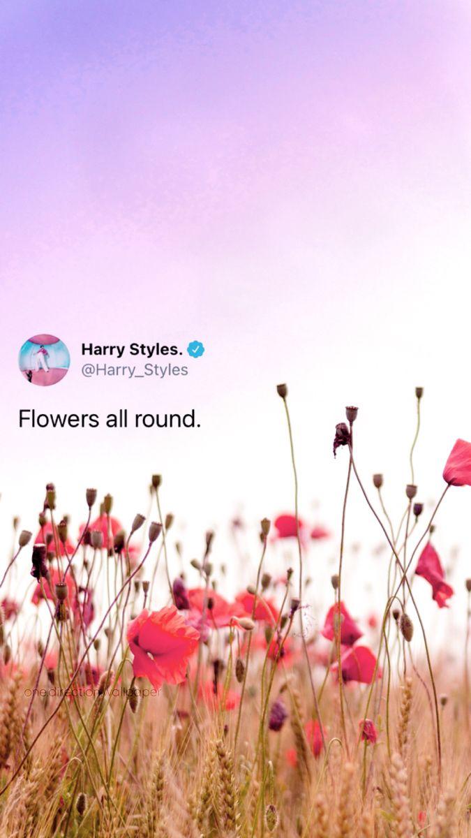 675x1200 harry styles tweet wallpaper. Harry styles wallpaper, Harry styles tweets, Harry styles