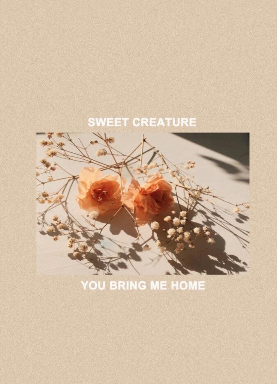 923x1280 It's a pretty cute wallpaper if you like Harry styles❤️