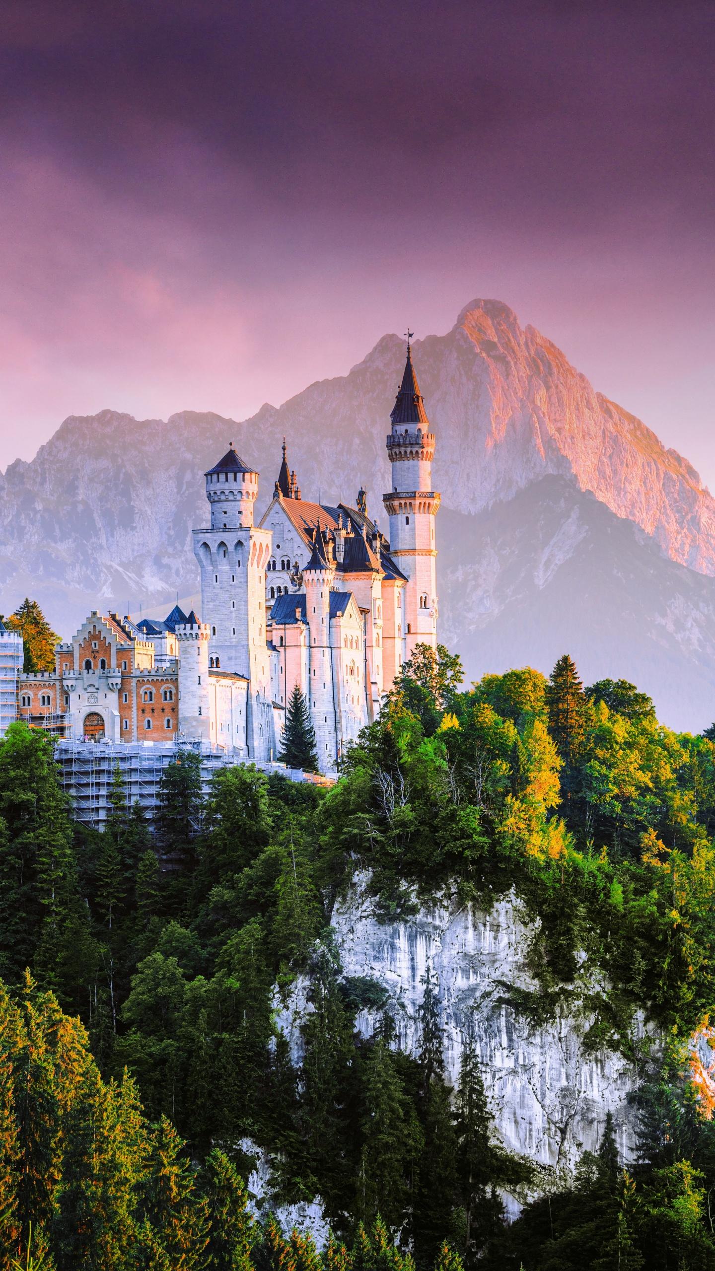 1440x2560 Neuschwanstein Castle Wallpaper 4K, Germany, Fairy Castle, Nature