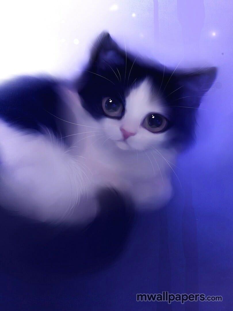 810x1080 Cute Kitten Wallpaper HD (810x1080) (2021)