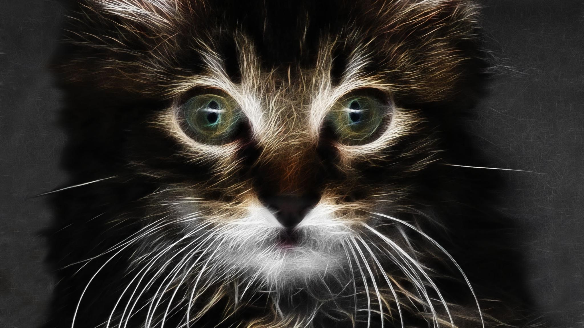 2048x1152 Download 2048x1152 wallpaper digital art, adorable kitten, cat, dual wide, widescreen, 2048x1152 HD image, background, 5158
