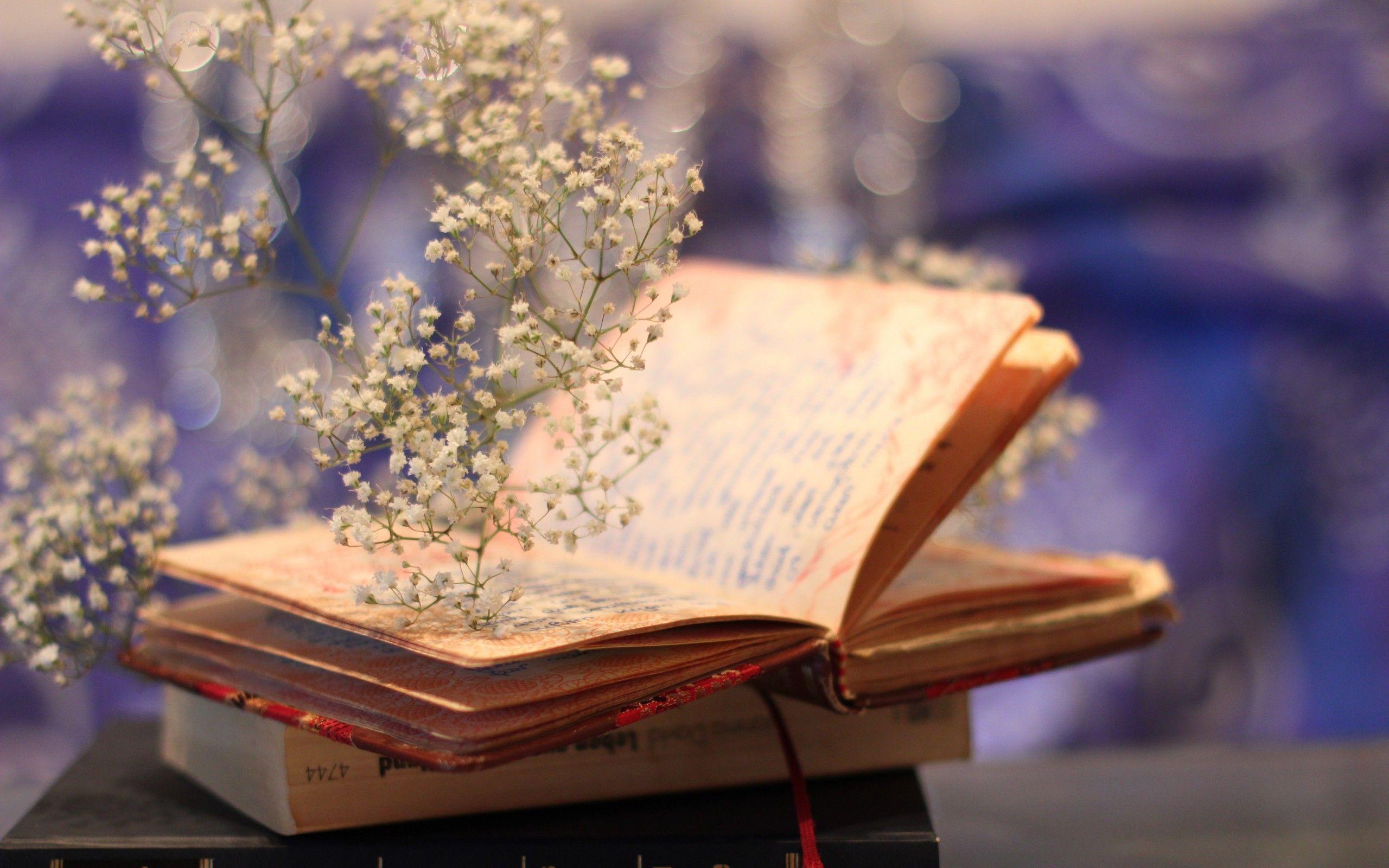 2560x1600 Flowers Books PC Wallpaper, HD Flowers Books PC Background on WallpaperBat