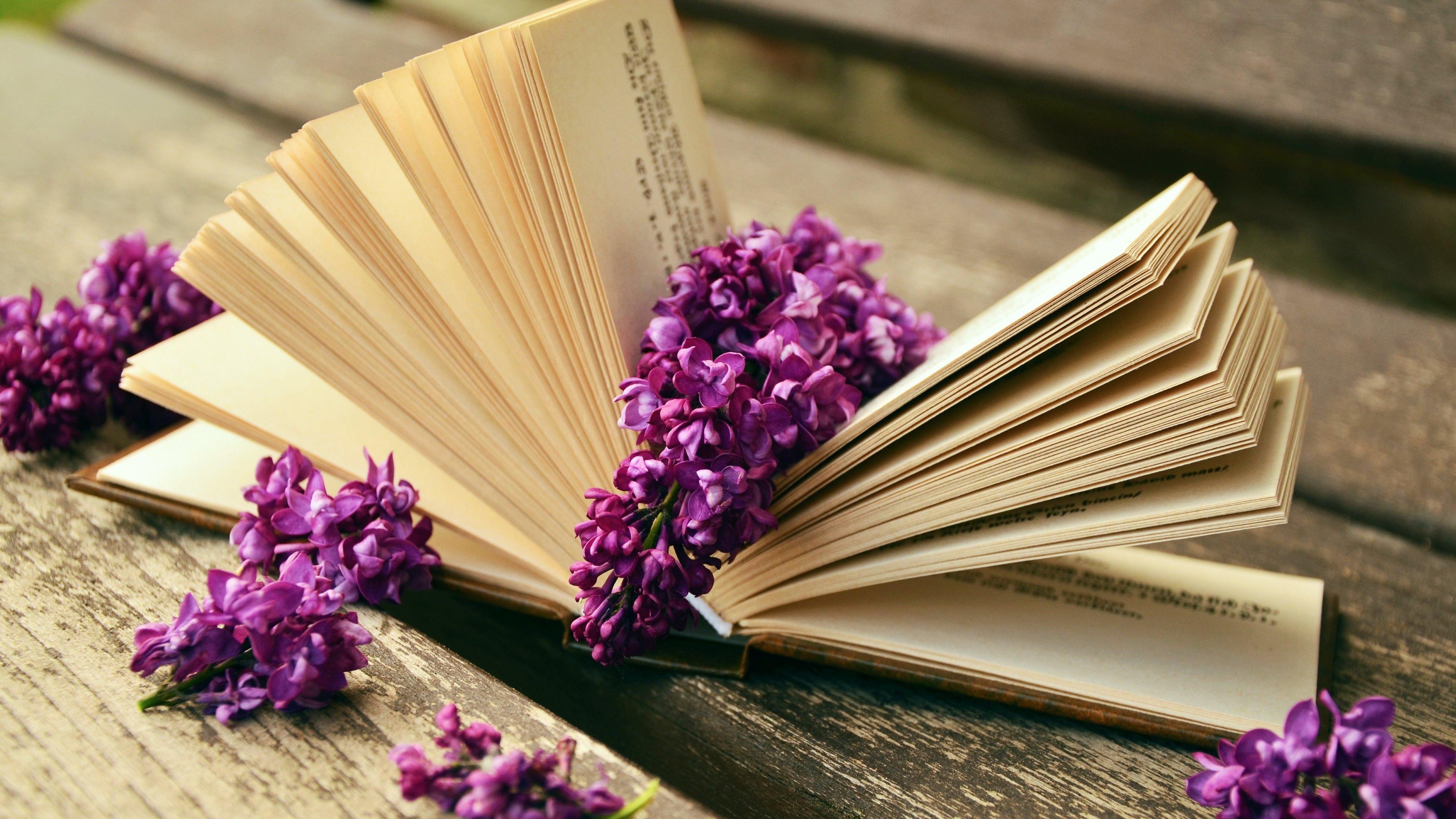 3840x2160 Books Spring