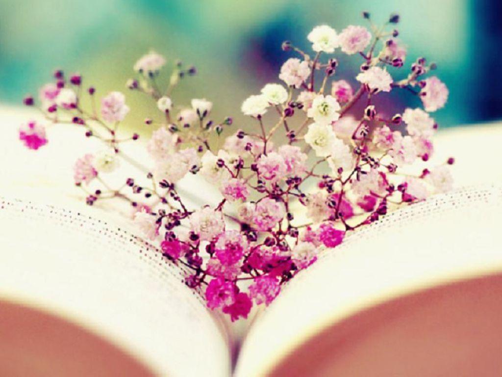 1024x768 Books Spring Wallpaper