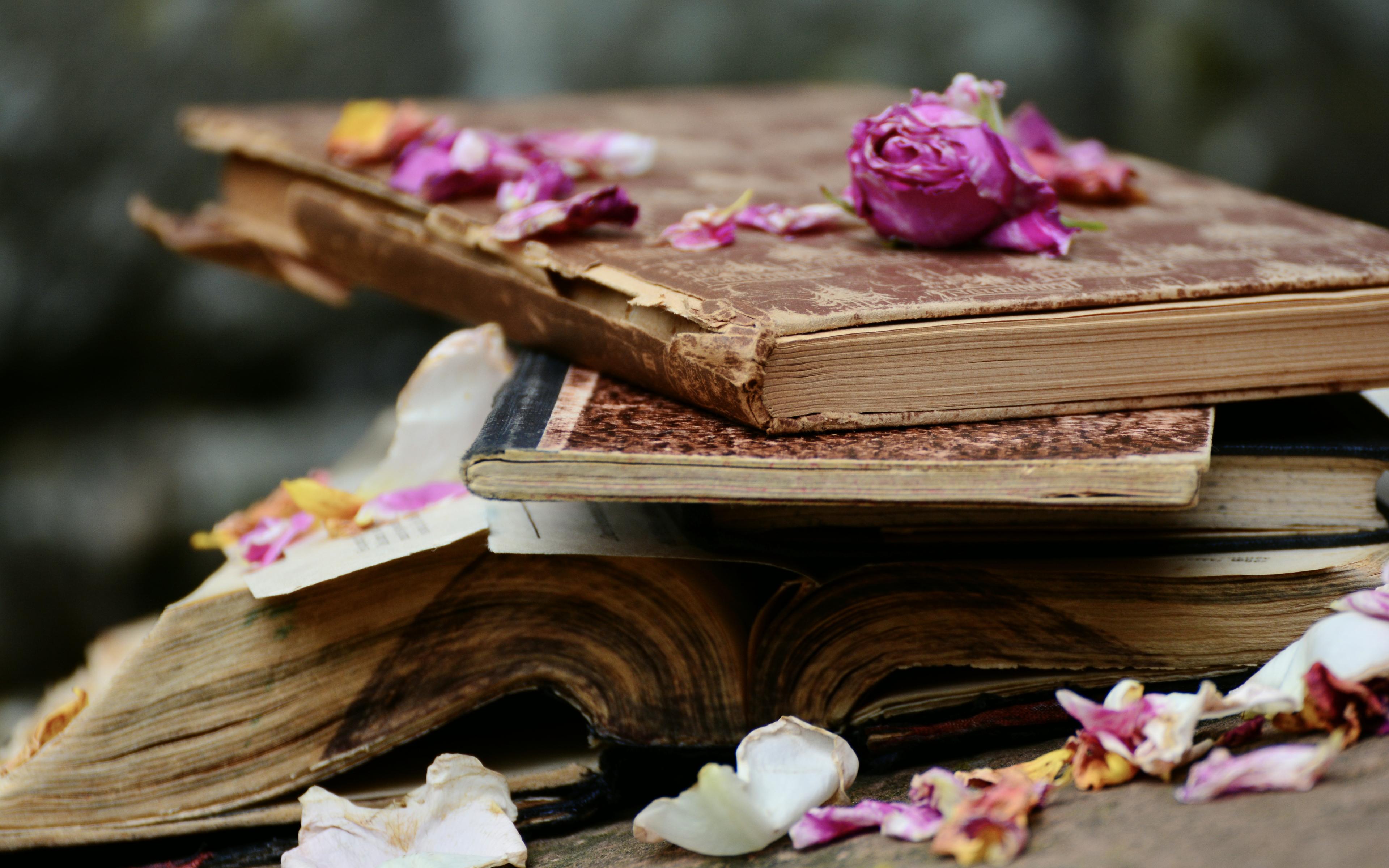 3840x2400 Desktop Wallpaper Old Books, Petals, Flowers, HD Image, Picture, Background, C669c0