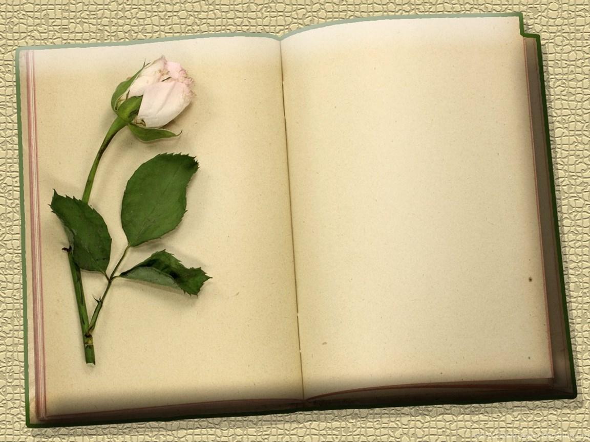 1152x864 Flowers And Vintage Blank Books Download PowerPoint Background. Desktop Background