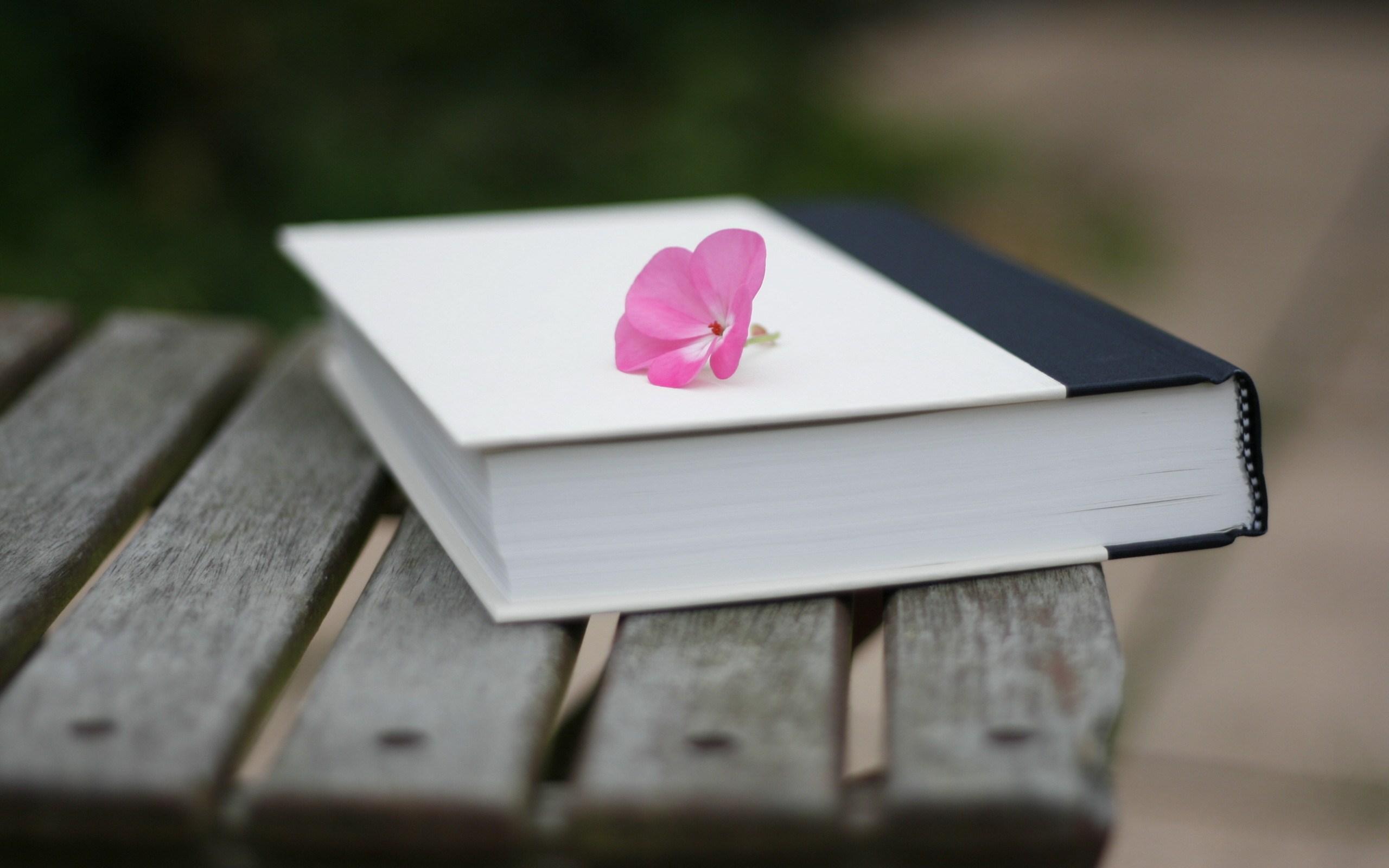 2560x1600 Title Man Made Book Wallpaper Flowers On Books HD Wallpaper