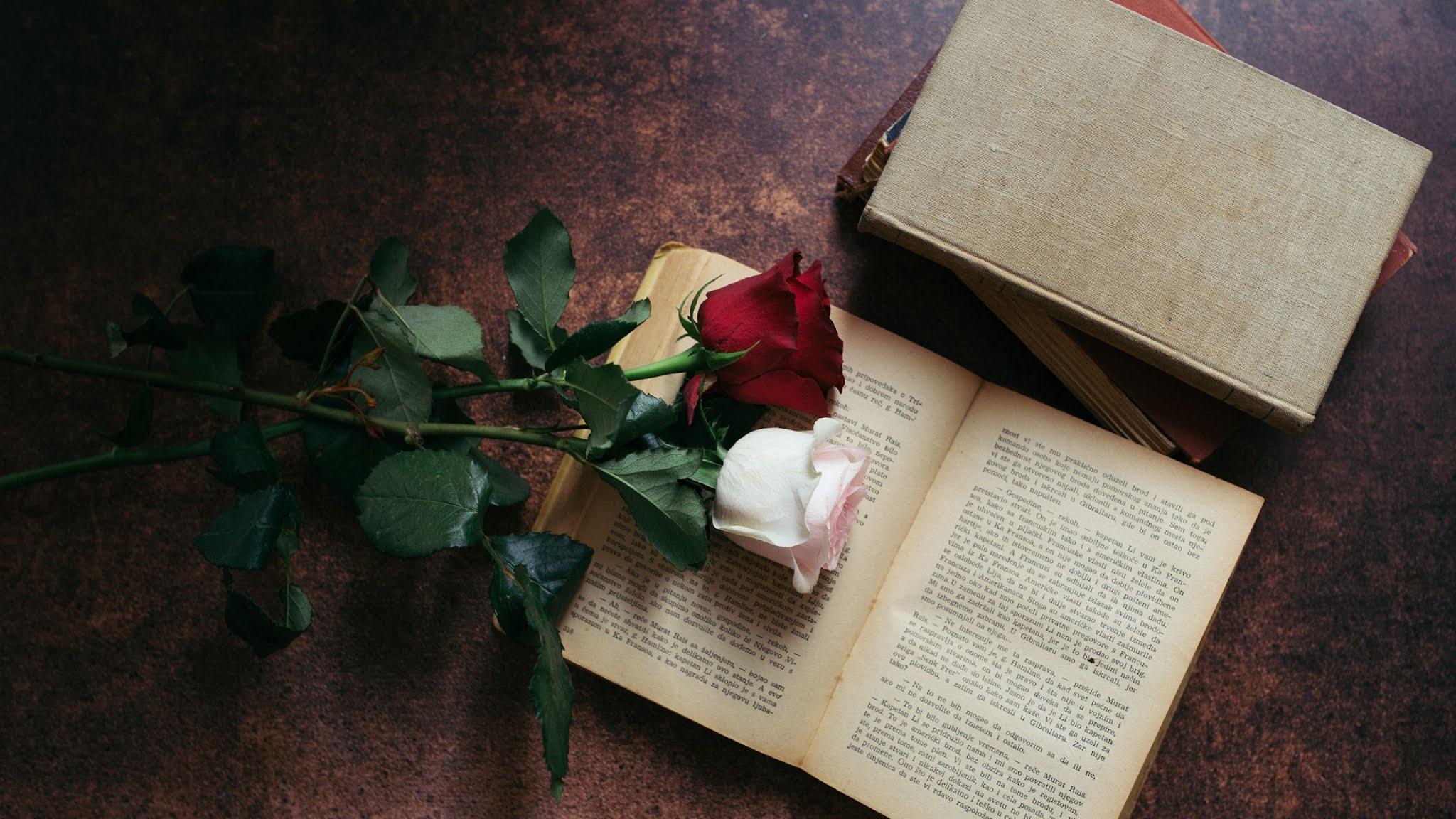 2048x1152 Flowers And Books Aesthetic Wallpaper