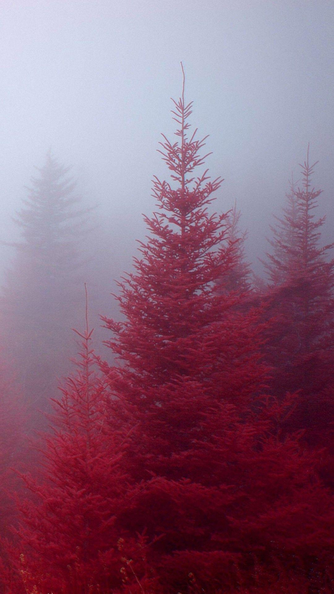 1080x1920 Red Nature iPhone6s wallpaper. iPhone スマホ壁紙/待受画像ギャラリー. 秋の壁紙, 赤い壁紙, きれいな壁紙
