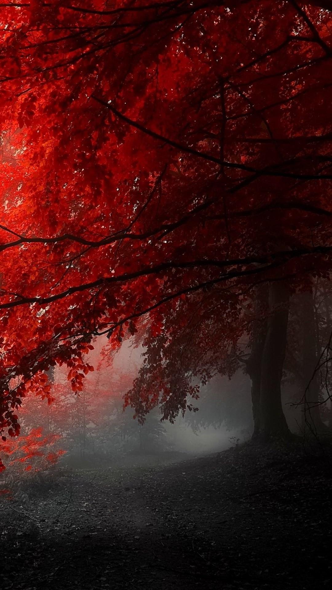 1080x1920 Red forest