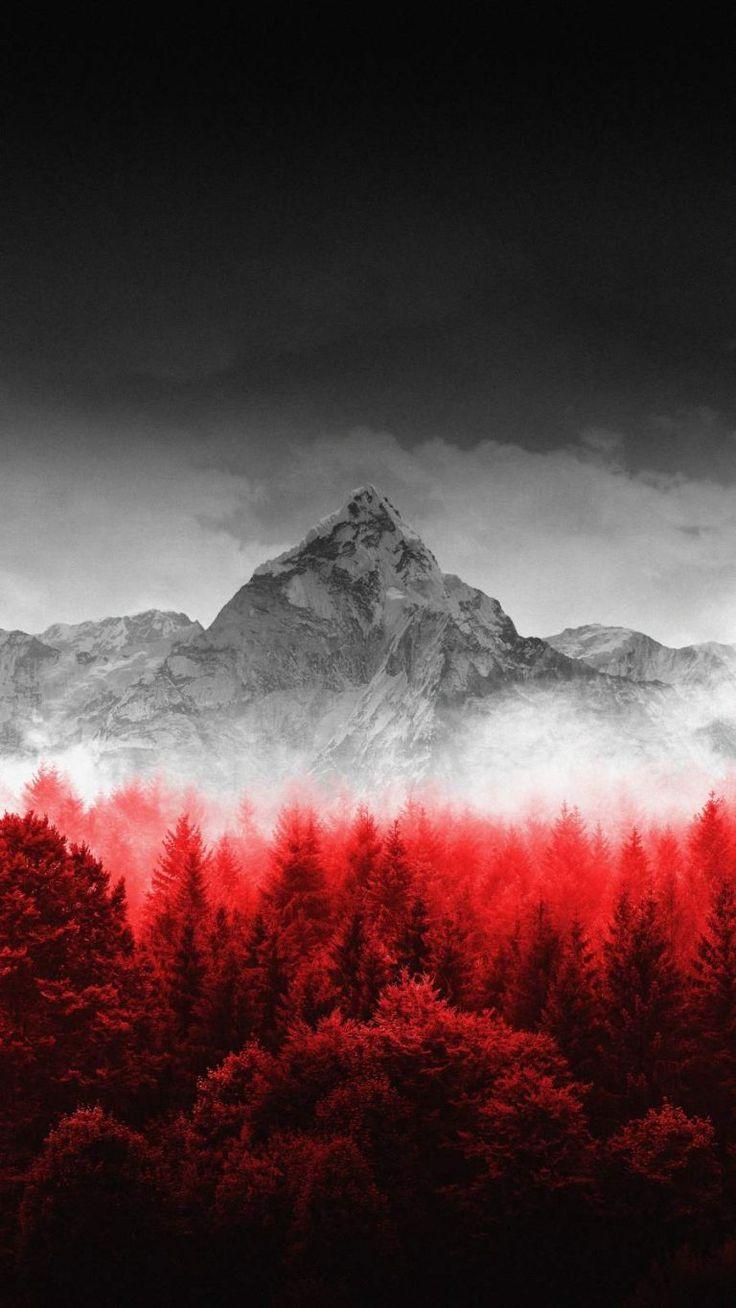 736x1308 Blue Lake Winter Mountains Pine Trees iPhone Wallpaper Wallpaper : iPhone. Forest wallpaper iphone, iPhone wallpaper landscape, Nature iphone wallpaper