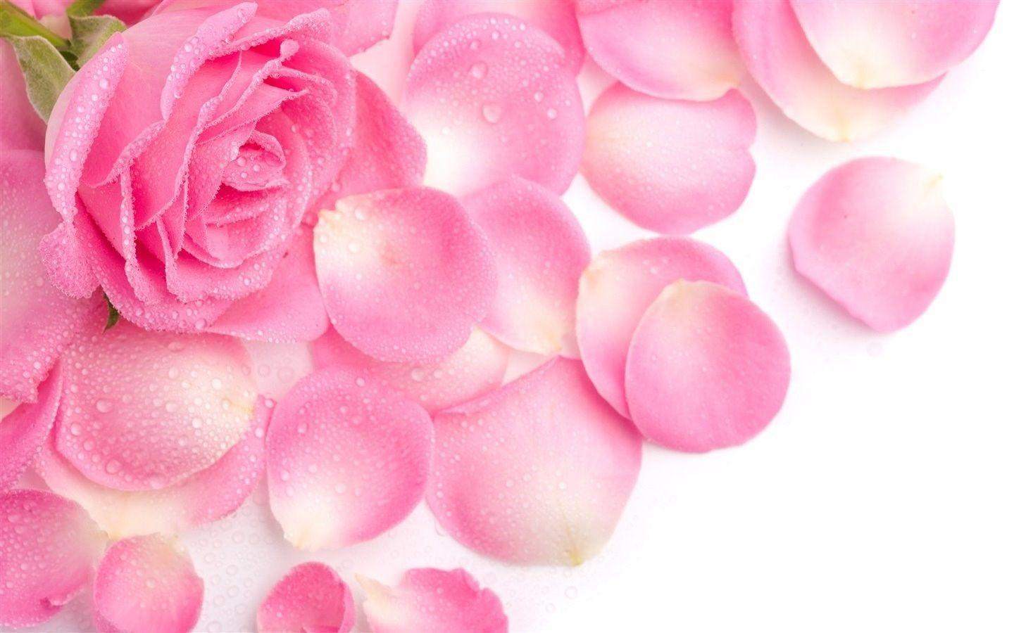 1440x900 Nice Girly Wallpaper Along With Colorful Mandala iPhone Wallpaper. Desktop Background