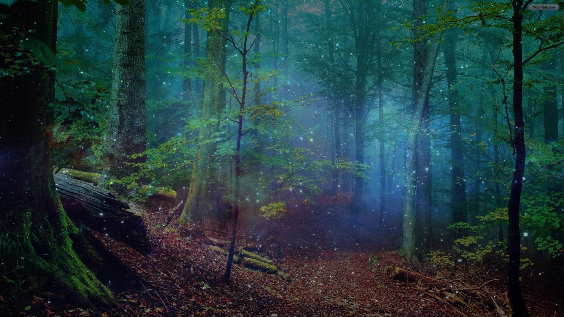 1920x1080 Free download Forest Image Flip Wallpaper Download Wallpaper HD [1920x1080] for your Desktop, Mobile & Tablet. Explore Trippy Forest Wallpaper. Trippy Forest Wallpaper, Trippy Wallpaper, Wallpaper Trippy