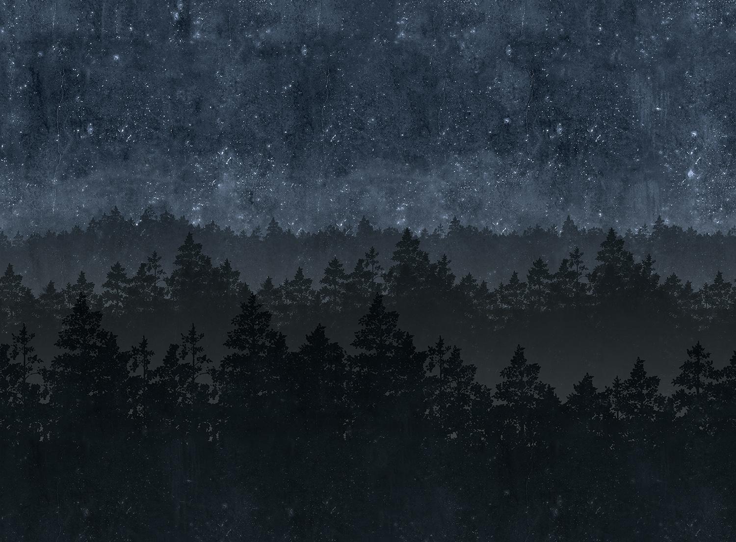 1500x1104 Tapetmønsteret Nordic Night fra Engblad & Co Tapet Nordic Night 8845