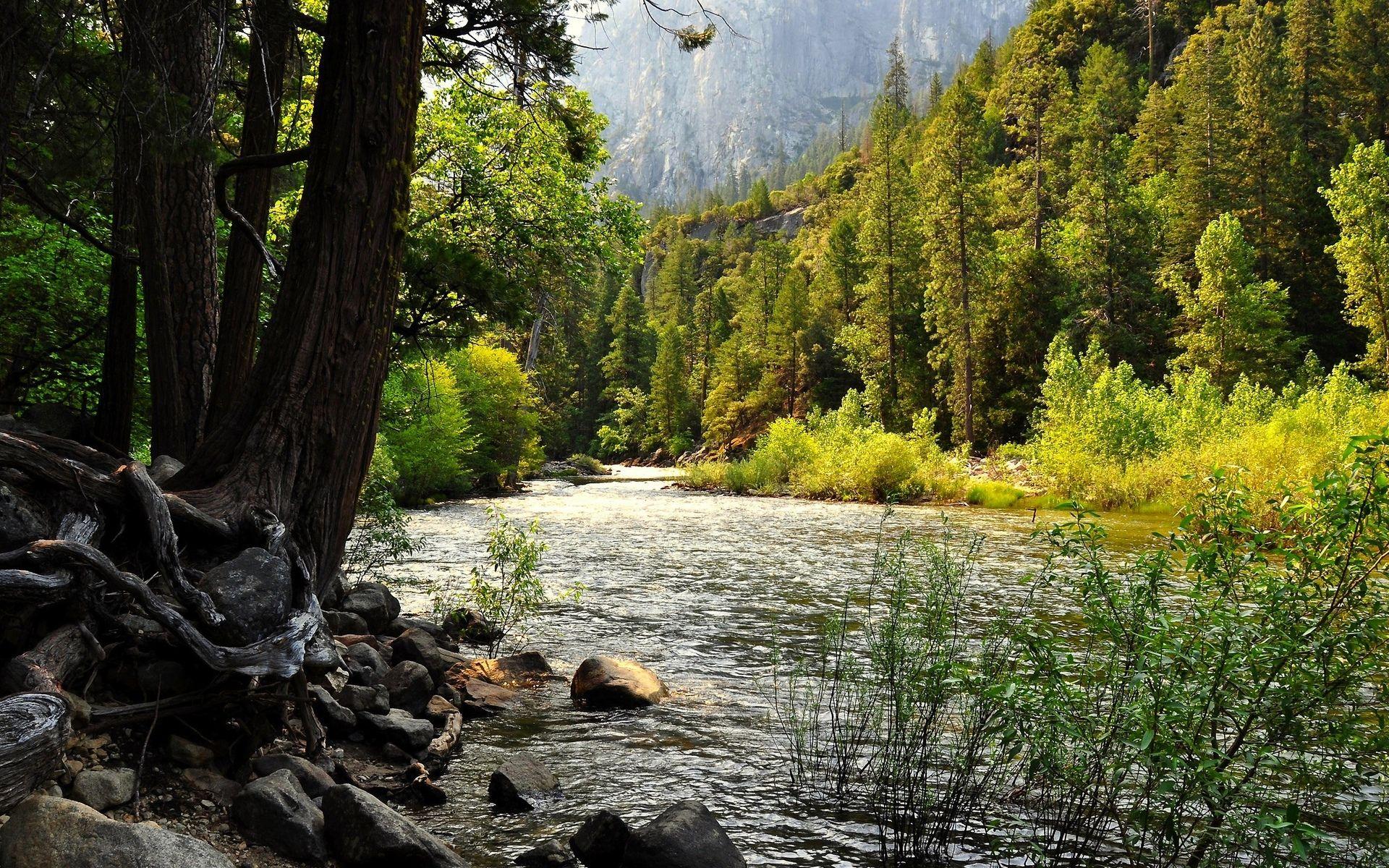 Rivers And Streams Wallpapers Top Free Rivers And Streams Backgrounds 