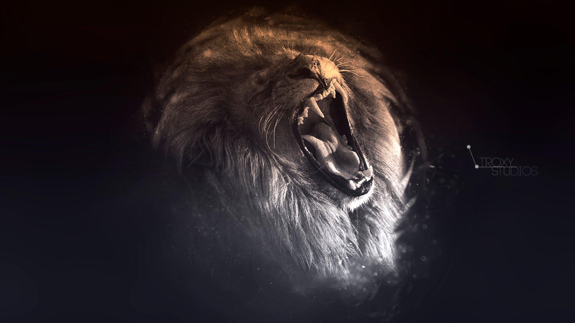 1920x1080 Lion art wallpaper