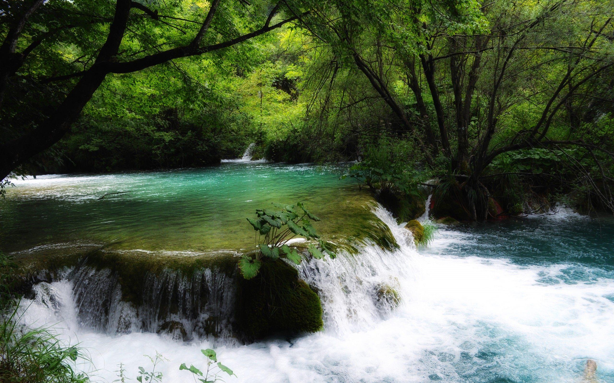 Rivers and Streams Wallpapers - Top Free Rivers and Streams Backgrounds -  WallpaperAccess