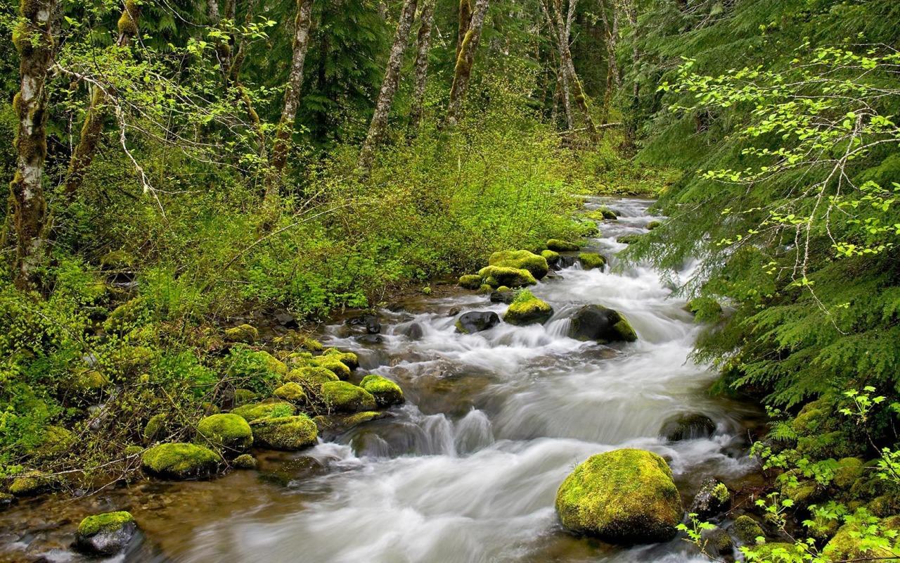 1280x800 Wallpaper of Rivers
