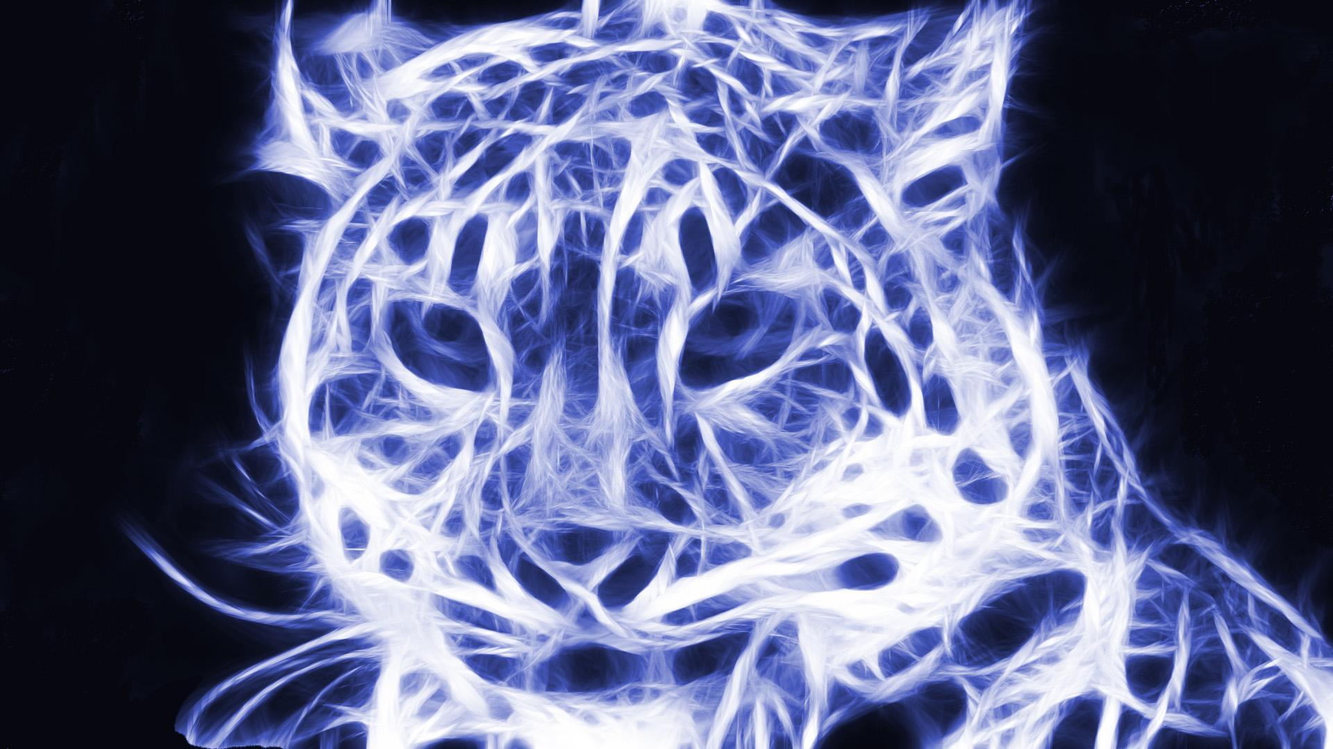 Electric Leopard Wallpapers - Top Free Electric Leopard Backgrounds ...