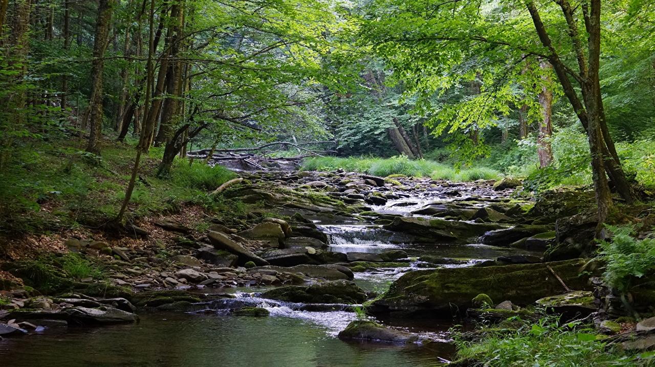 1280x718 Desktop Wallpaper USA West Virginia, Monongahela river Stream