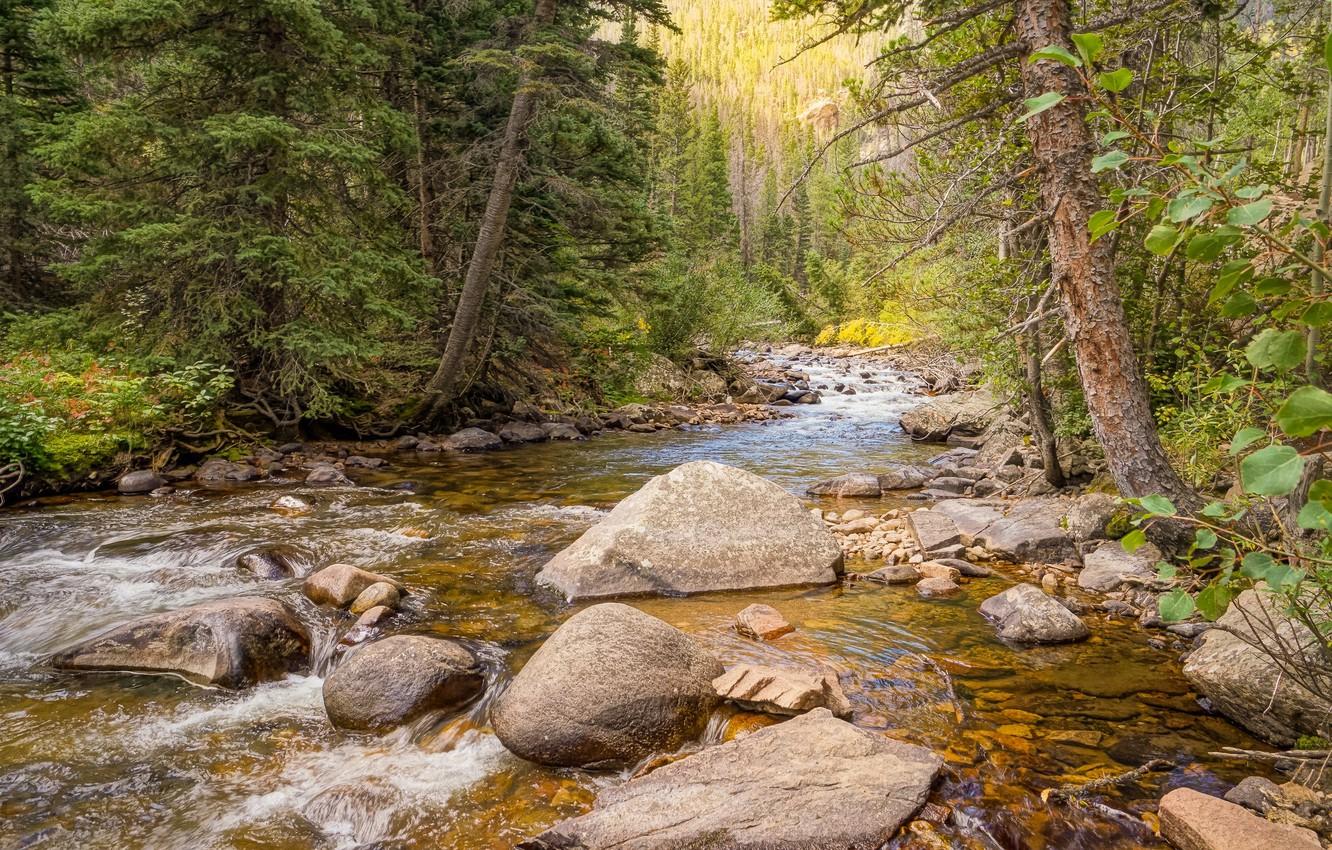 1332x850 Wallpaper forest, trees, river, stones, National Park, Rocky Mountain image for desktop, section природа